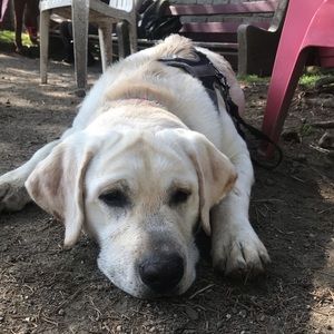 Meet your Posher, Jennifer